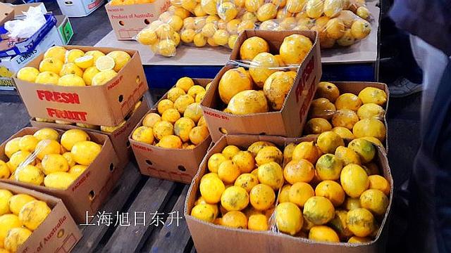澳大利亚羊皮批发市场，澳洲最大的蔬果批发市场