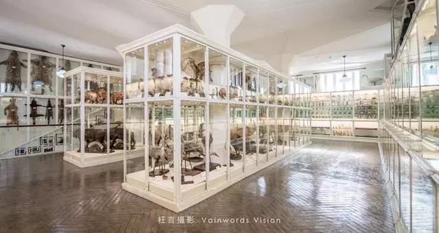 天津一日游攻略，北京到天津一日游攻略（天津最适合一日游的20个免费景点）