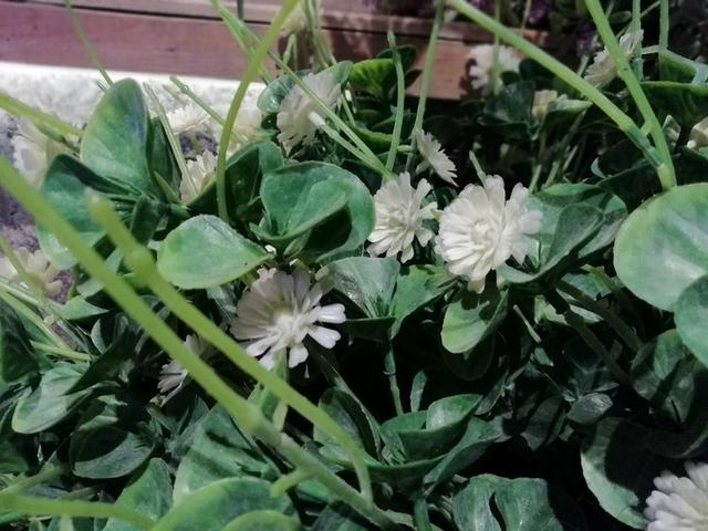 华为荣耀9青春版，华为荣耀9青春版手机怎么样（孙杨站台的国产精品机）