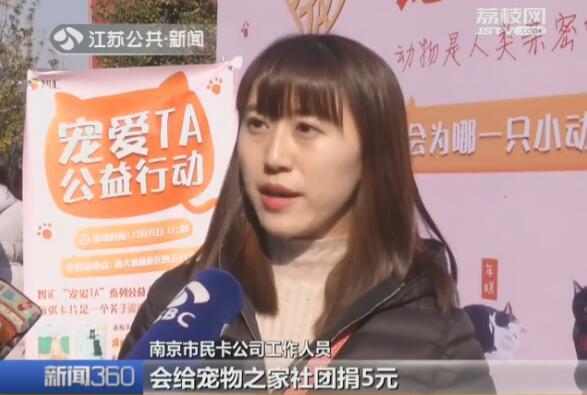 南京有没有宠物救助领养中心，南京有没有宠物救助领养中心的（南大流浪猫当上“代言人”）