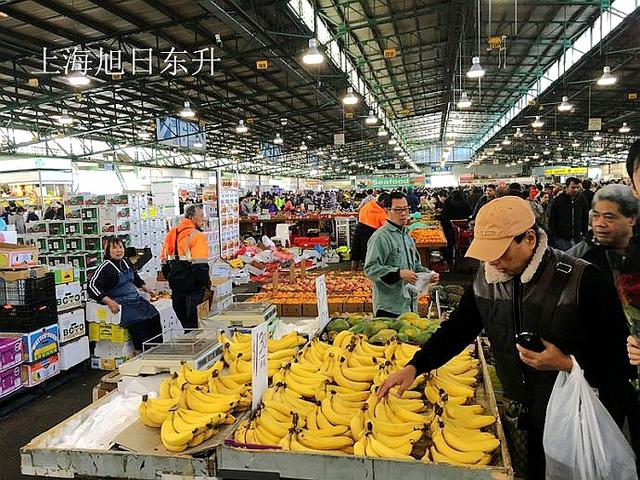 澳大利亚羊皮批发市场，澳洲最大的蔬果批发市场