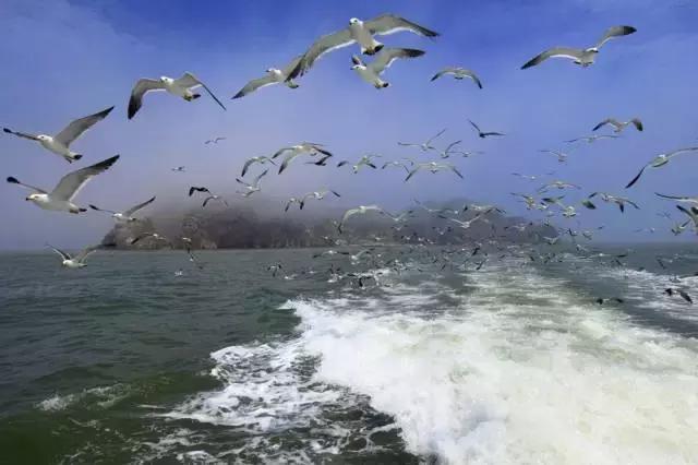 从苏州怎么去东极岛，从苏州去东极岛怎么去（不用出国过个温暖冬天）