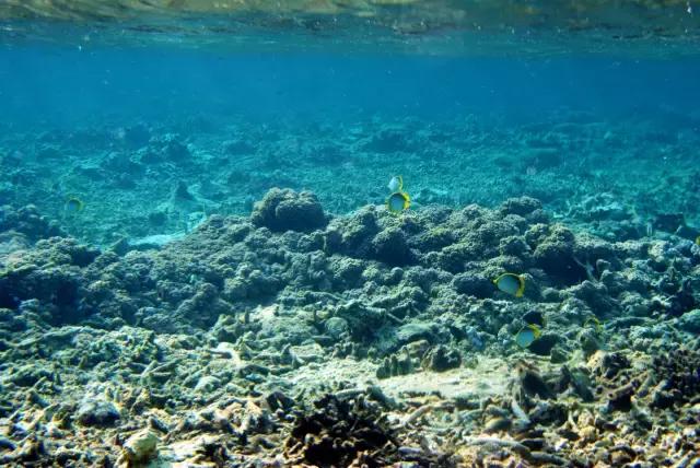 从苏州怎么去东极岛，从苏州去东极岛怎么去（不用出国过个温暖冬天）