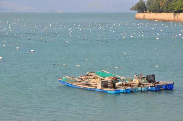 从苏州怎么去东极岛，从苏州去东极岛怎么去（不用出国过个温暖冬天）