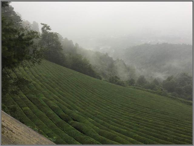 敬亭山在哪里个地方，敬亭山在哪里（有中国诗山之称的是什么山）