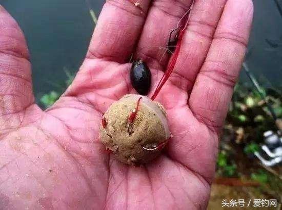 海竿底钓的正确方法，远投底钓的正确操作方法