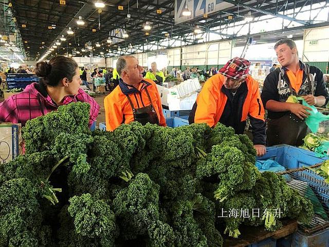 澳大利亚羊皮批发市场，澳洲最大的蔬果批发市场