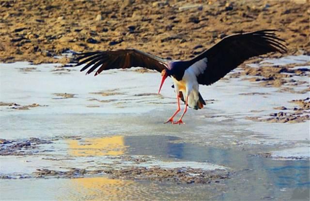 太原有什么好玩的，正月里太原有啥好玩的地方（冬日太原10大好去处）