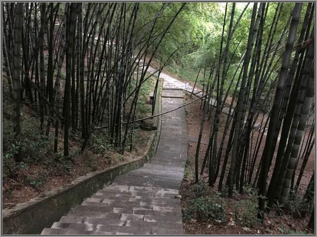 敬亭山在哪里个地方，敬亭山在哪里（有中国诗山之称的是什么山）