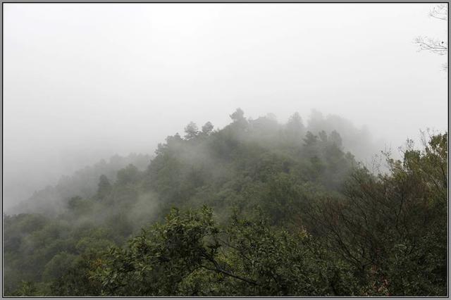 敬亭山在哪里个地方，敬亭山在哪里（有中国诗山之称的是什么山）