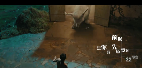 歌曲狐狸的童话歌词，狐狸的童话歌曲马也歌词（薛之谦《狐狸》首发）