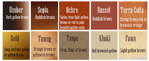 bear另一种意思中文，bear什么意思（从动物的baby名称说开去）