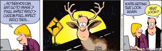 bear另一种意思中文，bear什么意思（从动物的baby名称说开去）