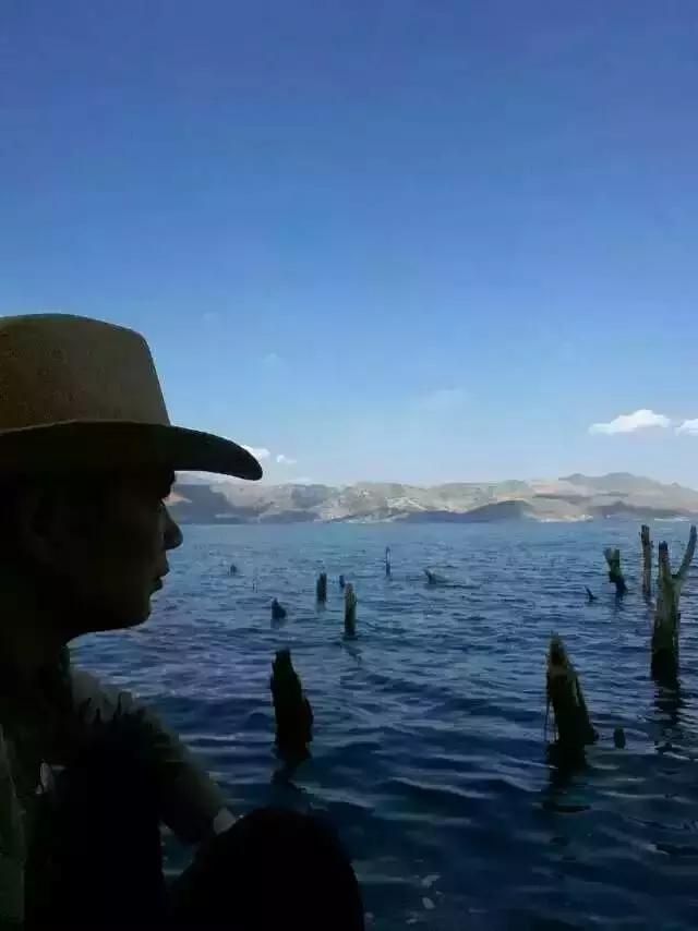 关于孔雀的诗句，以孔雀为主题的诗词（杨丽萍的斑斓诗传）