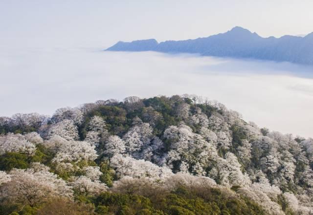铜仁有什么好玩的地方，贵州铜仁哪里好玩（请把这份出行攻略收藏好）