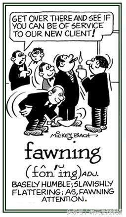 bear另一种意思中文，bear什么意思（从动物的baby名称说开去）