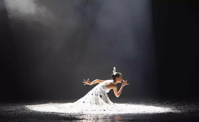 关于孔雀的诗句，以孔雀为主题的诗词（杨丽萍的斑斓诗传）