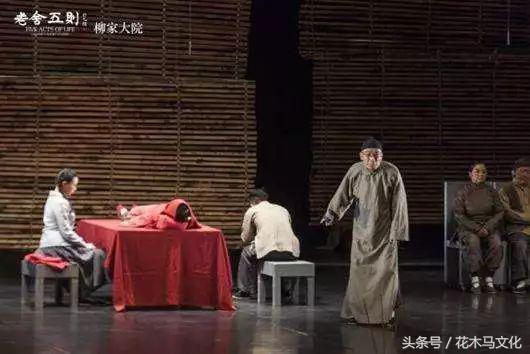 老舍兔为什么从未被提起过，老舍兔（老舍也有你不懂的黑色幽默）