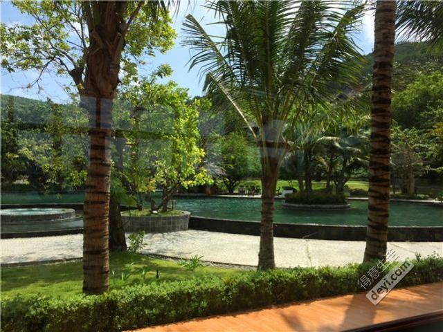 越南芽庄自由行详细攻略，年初跟团游的越南芽庄吃住玩全攻略