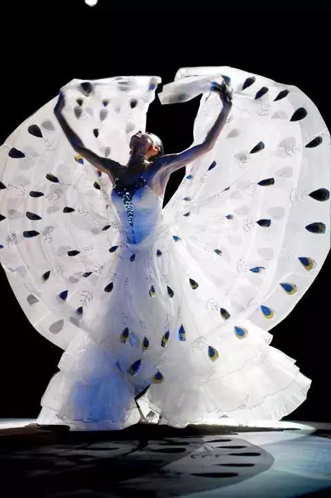 关于孔雀的诗句，以孔雀为主题的诗词（杨丽萍的斑斓诗传）