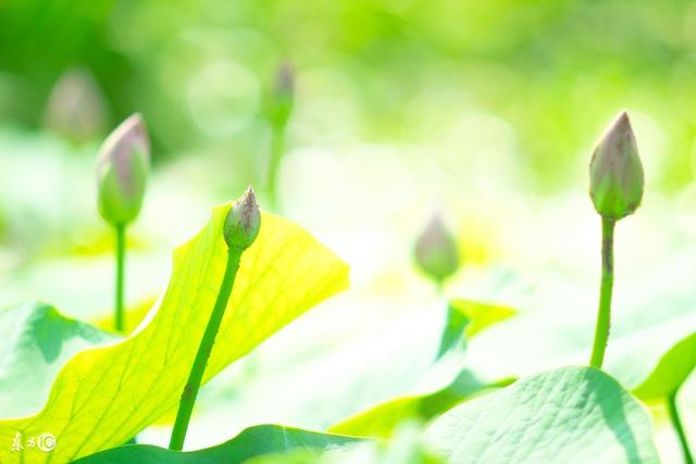 农历三月初一出生的男孩命运，农历3月初一出生的男孩（从农历出生月份看你的婚姻与运势）