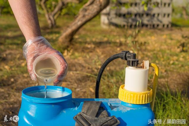 波尔多液的配制方法，波尔多液的配制方法化学方程式（波尔多液的配制、使用方法及农药稀释倍数对照表）