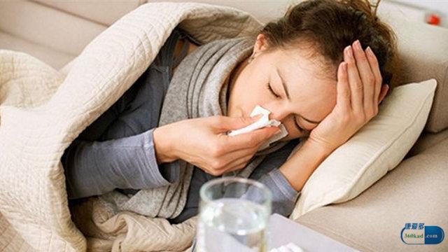 胎菊和菊花的区别，胎菊和菊花哪个泡水好胎菊好还是菊花好（胎菊、野菊、贡菊有什么不同）