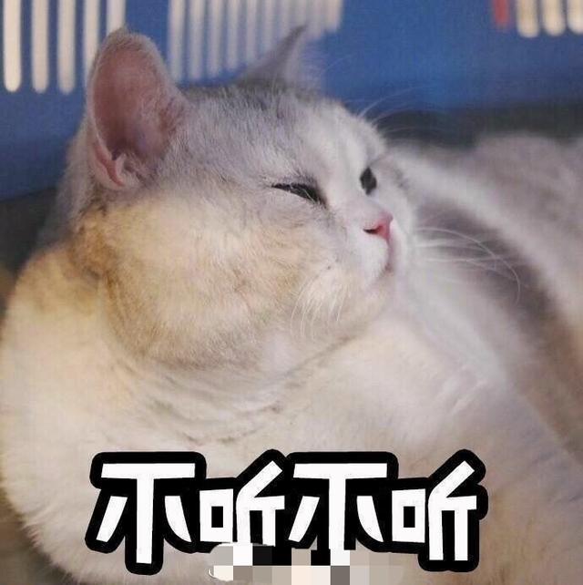 《数鸭歌》为什么是24678，为什么数鸭歌是二十六七八（我都能大口大口的吃）