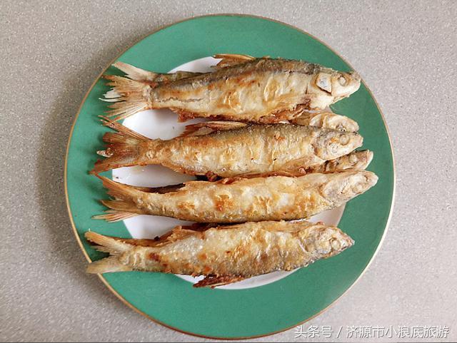 新鲜的白鳞鲑鱼，新鲜的阳鳞鲑鱼食谱（舌尖上的小浪底）
