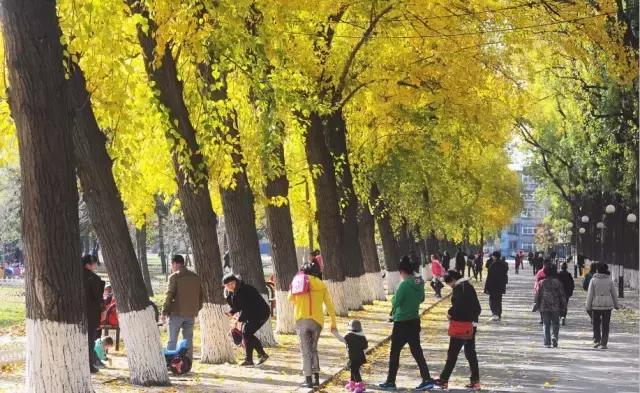 鞍山师范学院邮编，鞍山师范学院简介（这是我的最新个人简历）