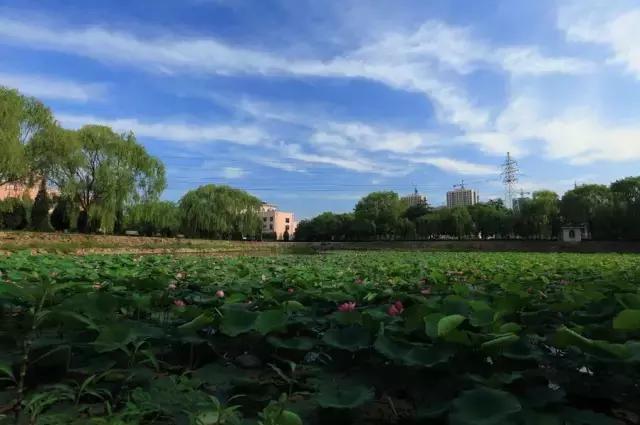 鞍山师范学院邮编，鞍山师范学院简介（这是我的最新个人简历）