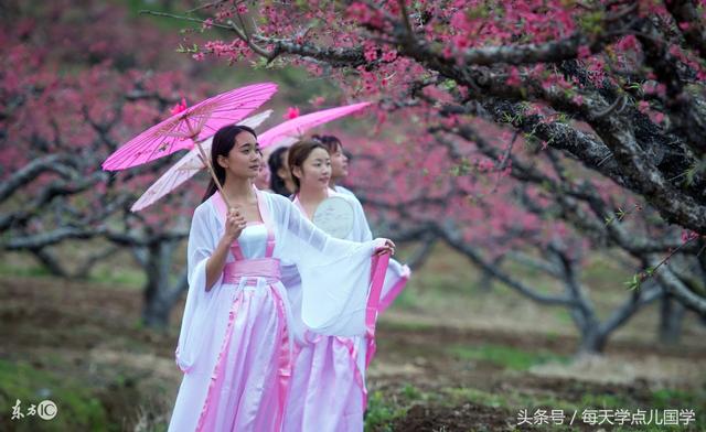 什么是律诗什么是绝句，什么是诗词、律诗、绝句