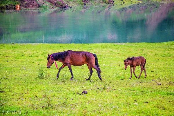 九寨沟有什么好玩的，稻城亚丁和九寨沟有哪些区别（九寨沟边上的小九寨）