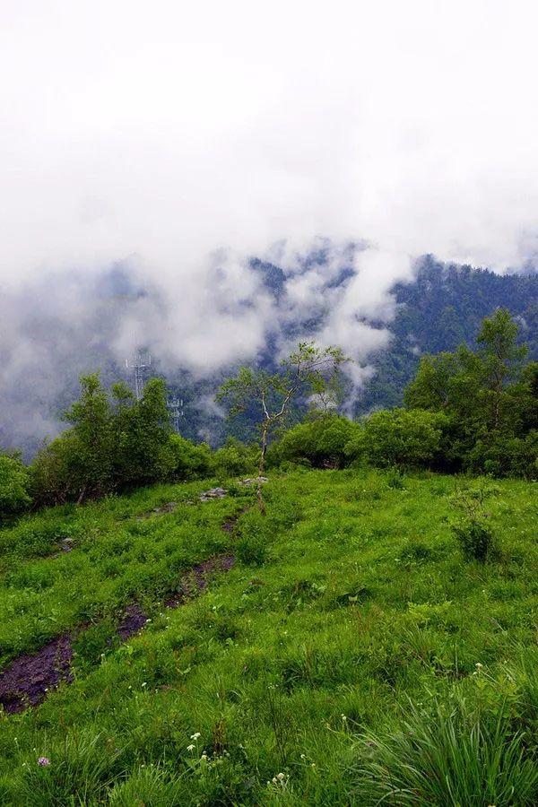 九寨沟有什么好玩的，稻城亚丁和九寨沟有哪些区别（九寨沟边上的小九寨）