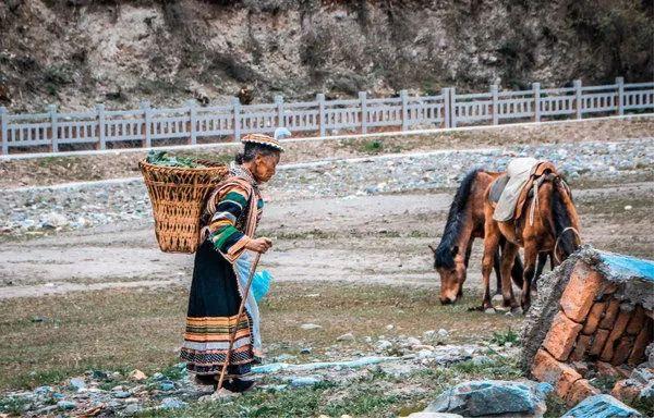 九寨沟有什么好玩的，稻城亚丁和九寨沟有哪些区别（九寨沟边上的小九寨）