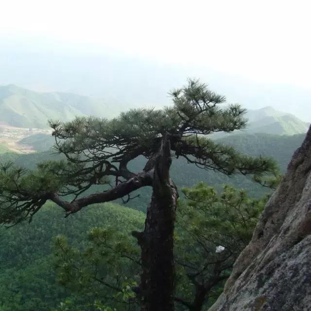 鞍山师范学院邮编，鞍山师范学院简介（这是我的最新个人简历）