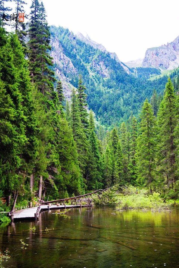 九寨沟有什么好玩的，稻城亚丁和九寨沟有哪些区别（九寨沟边上的小九寨）