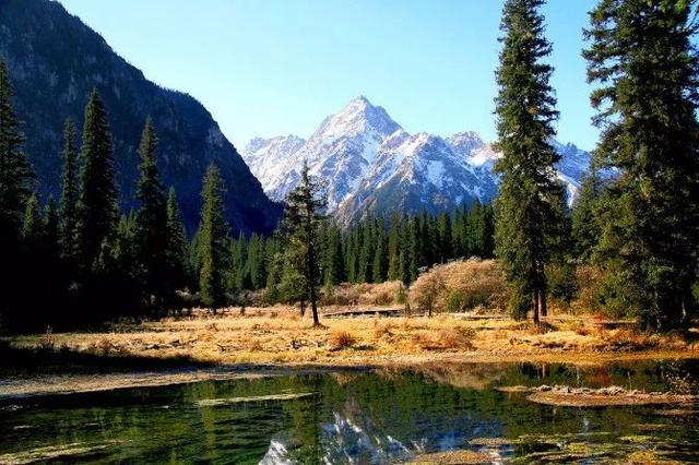 九寨沟有什么好玩的，稻城亚丁和九寨沟有哪些区别（九寨沟边上的小九寨）