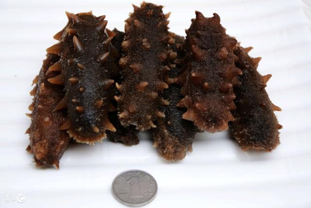 海参多久吃一次，即食海参多久吃一次（每天吃多少为宜）