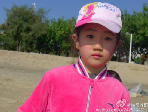 康熙王朝 李楠，李楠演员大宅门里演谁（《康熙王朝》少年康熙）