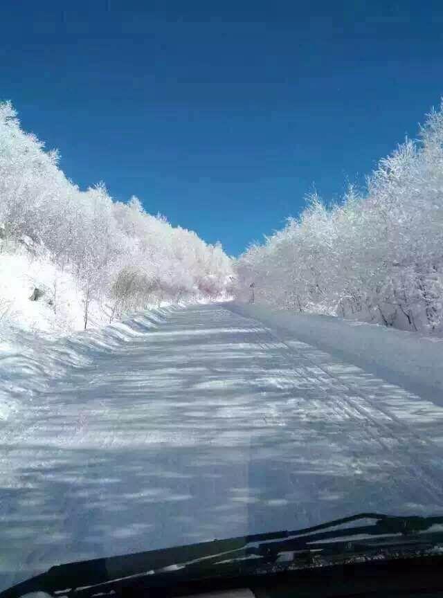 雪乡游旅游攻略，雪乡旅游地图（到哈尔滨雪乡游玩最省钱的旅游攻略）