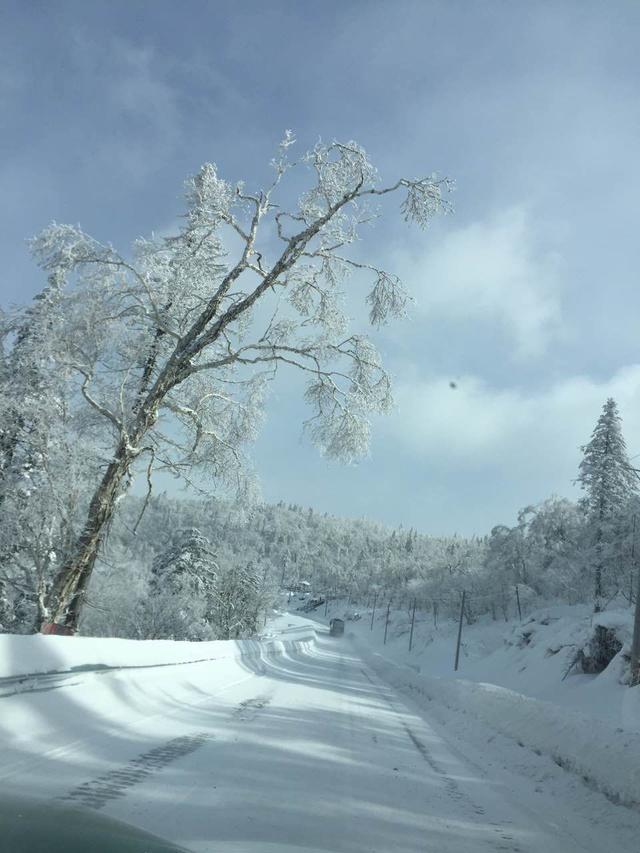 雪乡游旅游攻略，雪乡旅游地图（到哈尔滨雪乡游玩最省钱的旅游攻略）