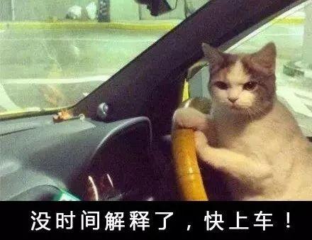 社保卡可以绑定微信吗，微信如何绑定社保卡（微信新出“电子社保卡”）