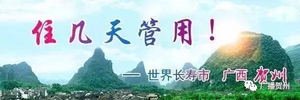 贺州的邮政编码，贺州的邮政编码是什么（第一届贺州市“非公经济优秀人物”）
