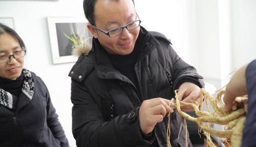 人民大会堂人参王，香烟口感排行榜前十名（目前已知全球最大鲜野山参面世——康平投资与紫鑫药业决定用于科学研究）