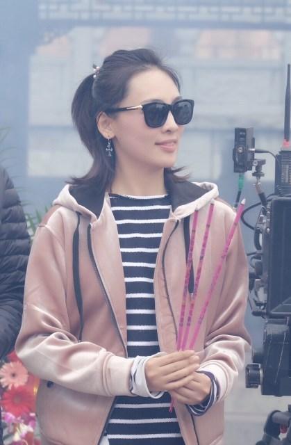 追风行动演员表，追风行动演员表介绍（陈维涵再出演冷艳女军官）