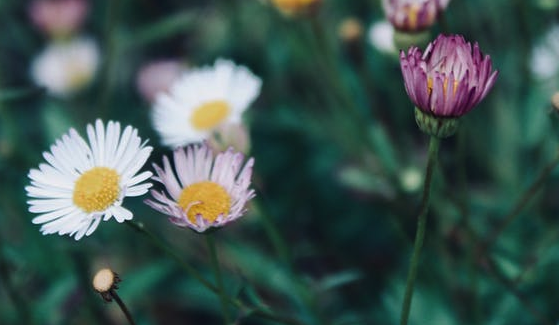 段友暗号都有啥，段友接头暗号有哪些（段友出征寸草不生什么意思）