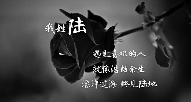 姓氏专属情话句子，姓氏的爱情句子（都有一句情话<暖心系大全>）