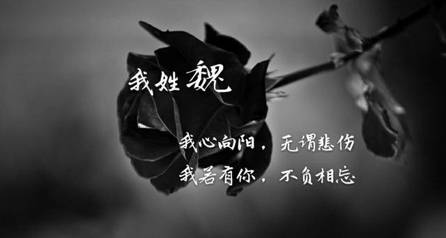 姓氏专属情话句子，姓氏的爱情句子（都有一句情话<暖心系大全>）