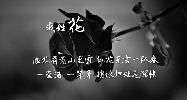 姓氏专属情话句子，姓氏的爱情句子（都有一句情话<暖心系大全>）